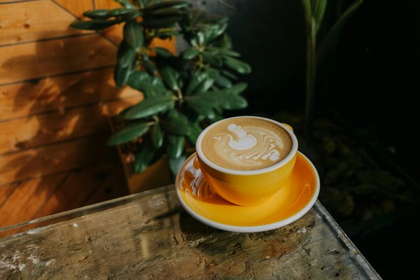 5 conseils pour une expérience réussie de slow travel